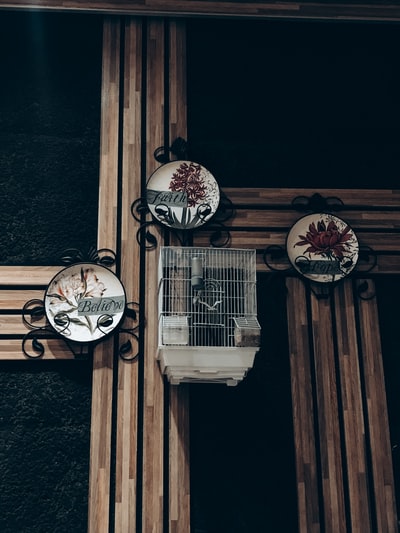 图聚科技